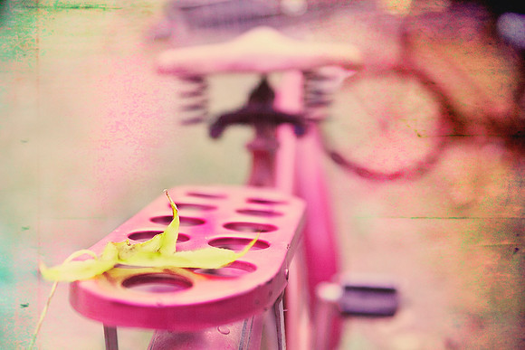 I Rode My Bicycle Past Your Window